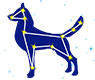 Canis Major